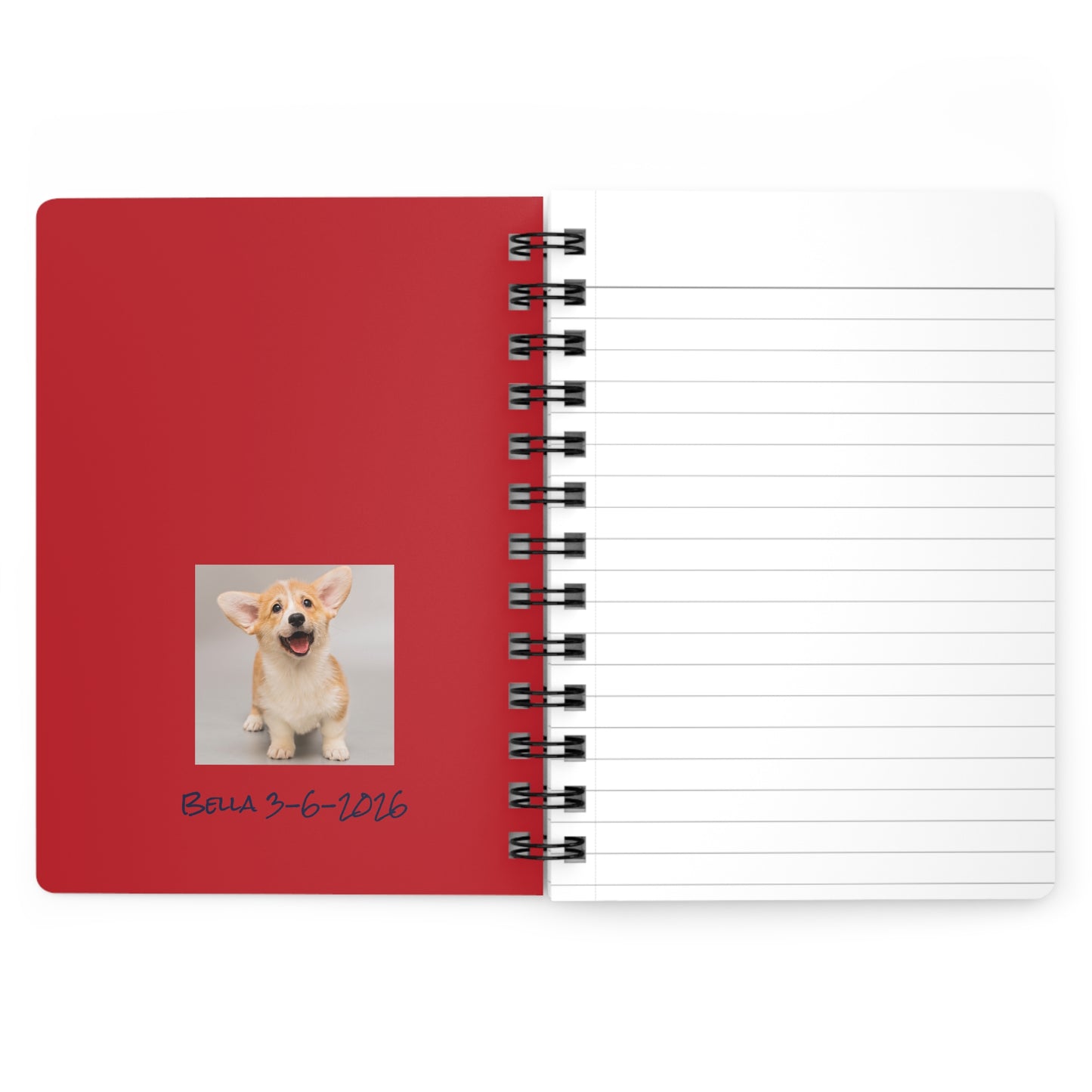 Notebook - Blue Dog