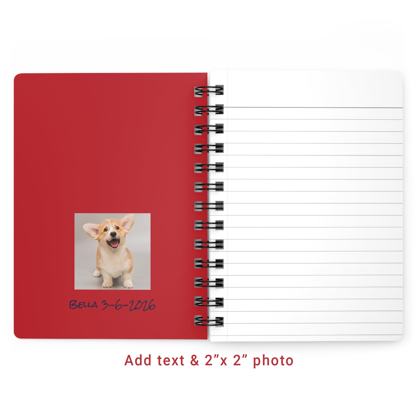Notebook - Blue Dog