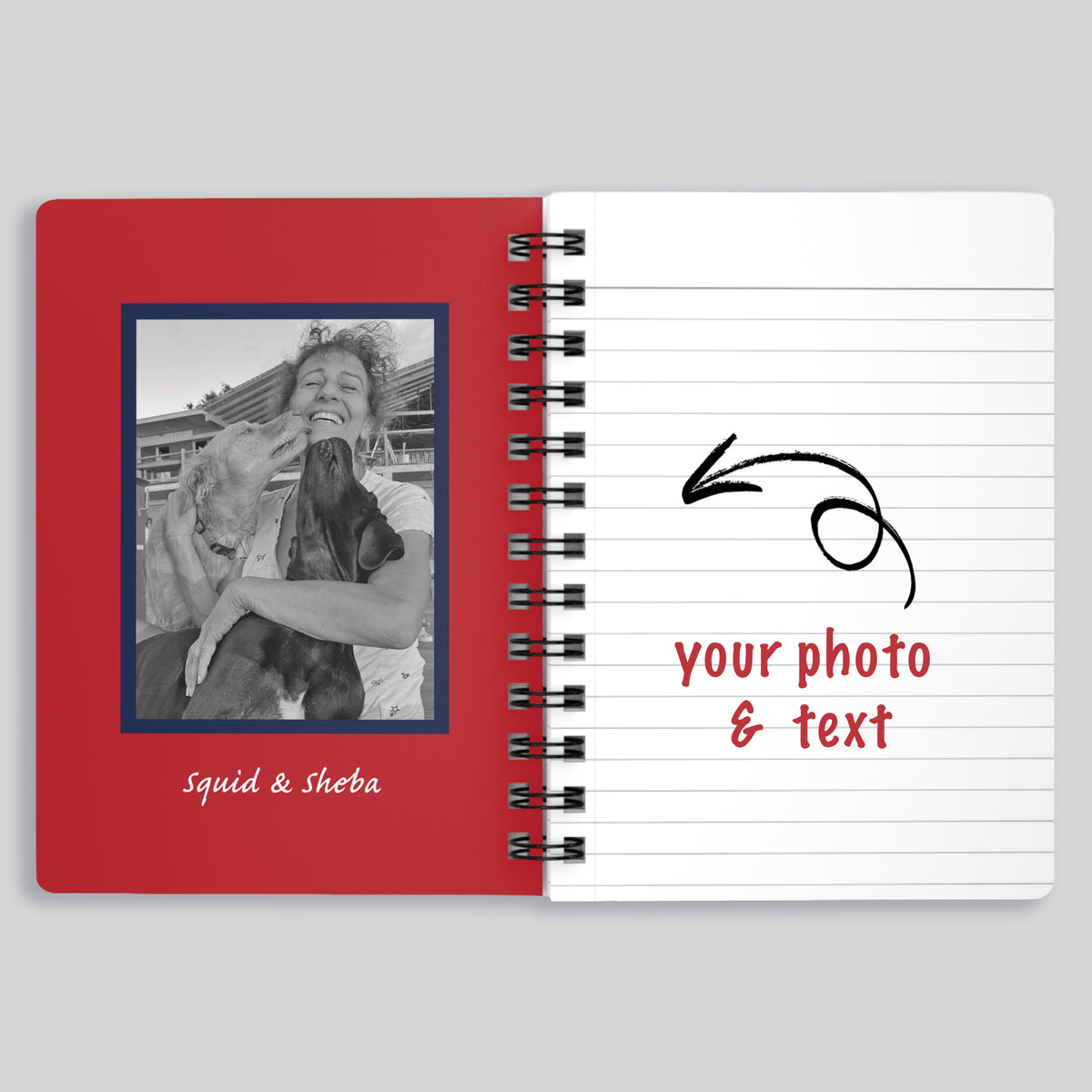 Little Notebook - Blue Dog